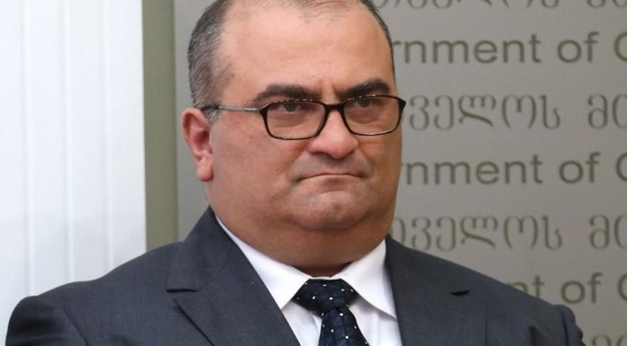 ჯეჯელავა: ერთადერთი, რაც არ უნდა დაგვემართოს, ეს არის ორხელისუფლებიანობა