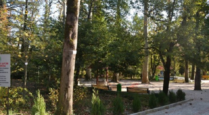 ქუთაისის ბოტანიკურ ბაღში შესვლა ფასიანი გახდა