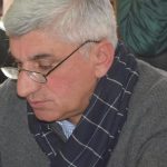 გონელი ნაჭყებია