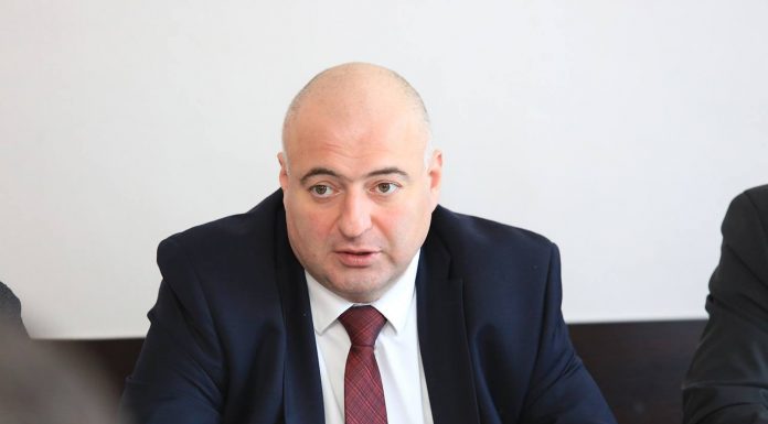 თენგიზ შერგელაშვილისთვის ქალაქების სტატუსის გაუქმება მიუღებელია