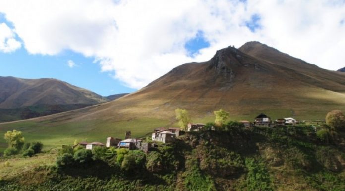 მთაში მუშაობის მსურველ პედაგოგს, შესაძლოა, მიწის ნაკვეთი და პირუტყვი გადასცენ