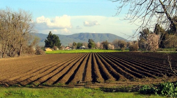 უცხოელებს მიწის მხოლოდ იჯარით აღება შეეძლებათ