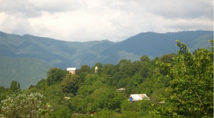 ონის მუნიციპალიტეტის 46 სოფელში 6 წლამდე ასაკის ბავშვები აღარ არიან