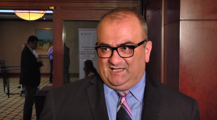 ალექსანდრე ჯეჯელავა თვითმმართველობის რეფორმასთან დაკავშირებულ მოდელს წინგადადგმულ ნაბიჯად აფასებს