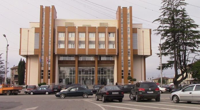 ზუგდიდის მერის და საკრებულოს თავმჯდომარის თანაშემწის თანამდებობა გაუქმდა