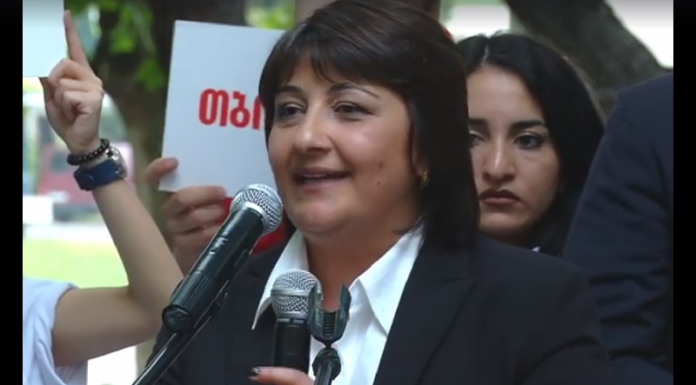 ნაციონალურმა მოძრაობამ კრწანისის რაიონის მაჟორიტარი დეპუტატობის კანდიდატი წარადგინა