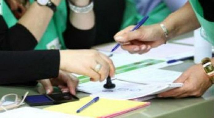 მერების რიგგარეშე და საკრებულოს შუალედური არჩევნები, სავარაუდოდ, 19 მაისს გაიმართება