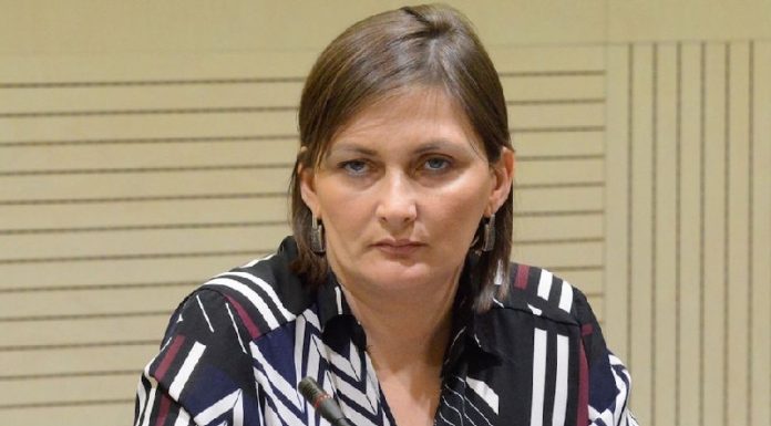 რა ქონებას ფლობს “ევროპული საქართველოს” ზუგდიდის მერობის კანდიდატი