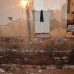 გუდიაშვილი – მეცხრამეტე საუკუნის შენობის ადრეული ფენა