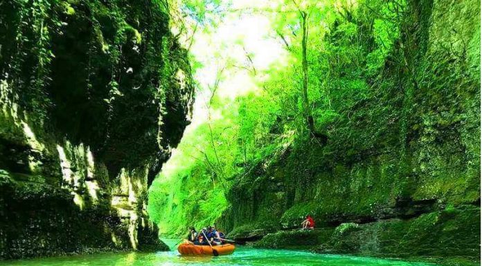 6 ყველაზე პოპულარულ დაცულ ტერიტორიაზე სამუშაო საათები გაიზარდა