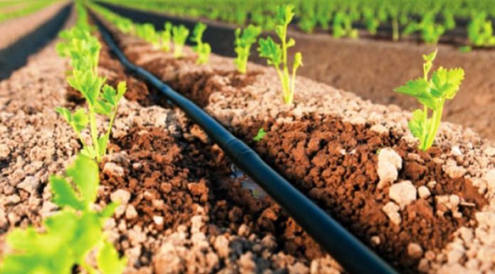 მარნეულის სოფელ დაშტაფაშის მცხოვრებლები სარწყავ წყალს მელიორაციაში ინდივუდუალური ხელშეკრულებების საფუძველზე მიიღებენ