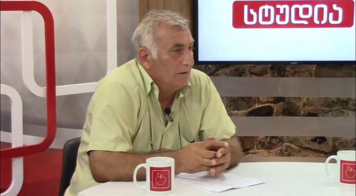 აჭარელი ეკომიგრანტების შესაძლო რელიგიურ დევნაზე ქარელის ვიცემერის გამოკითხვას ითხოვენ