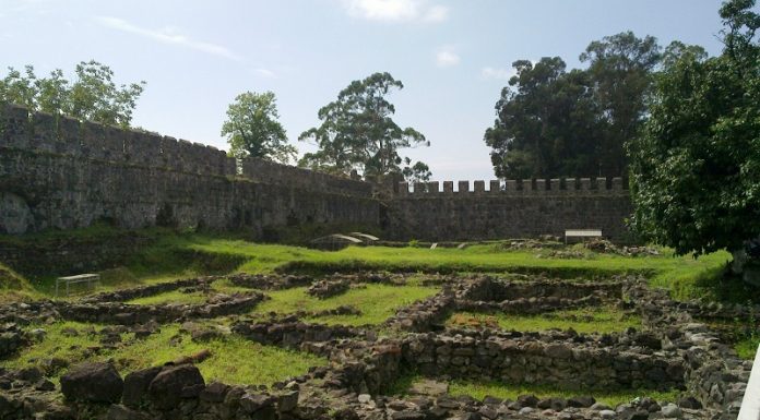 გონიოს ციხის ტერიტორიაზე იშვიათი სახეობის მონეტები აღმოაჩინეს
