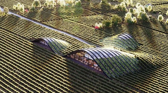 შილდა – მსოფლიო მწვანე არქიტექტურის ერთ-ერთი საუკეთესო ნიმუში