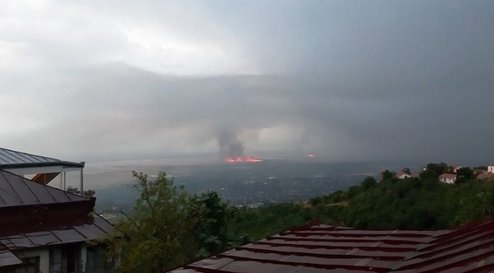 ალაზნის ველზე ხანძარი გიზგიზებს, ცეცხლის წაკიდების გამო ჯარიმა კი მხოლოდ 200 ლარია