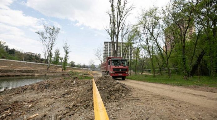 ჩიქოვანის ქუჩა მზიურის პარკს საფეხმავლო ხიდით დაუკავშირდება