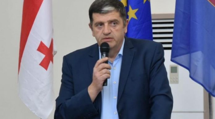 სამეგრელო-ზემო სვანეთის სახელმწიფო რწმუნებულის ყოფილმა მოადგილემ მუშაობა, შესაძლოა, კერძო სექტორში გააგრძელოს