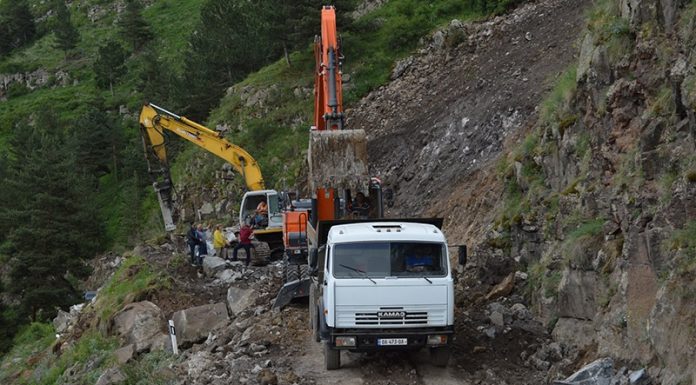 გოგაშენი–ვარძიის გზის გაწმენდა ერთ კვირაში დასრულდება