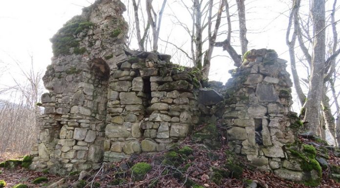 თელავში, “ნაქალაქარზე” აღმოჩენილ ობიექტებს ძეგლის სტატუსი მიენიჭა