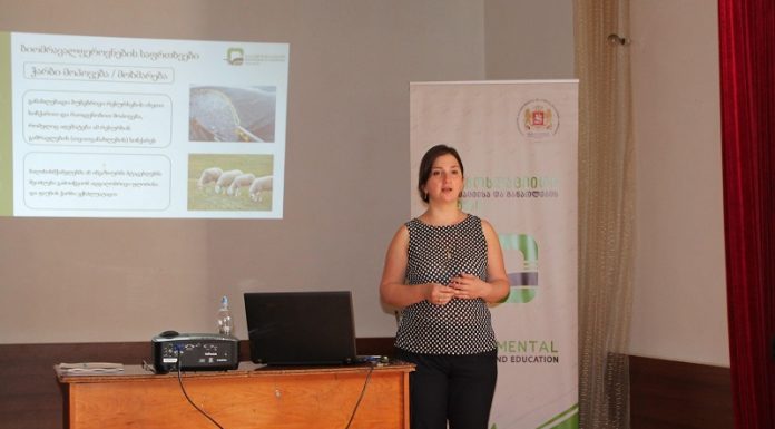 წალენჯიხის მუნიციპალიტეტის სკოლამდელი აღზრდის დაწესებულებების აღმზრდელ-პედაგოგები და მეთოდისტები გადაამზადეს