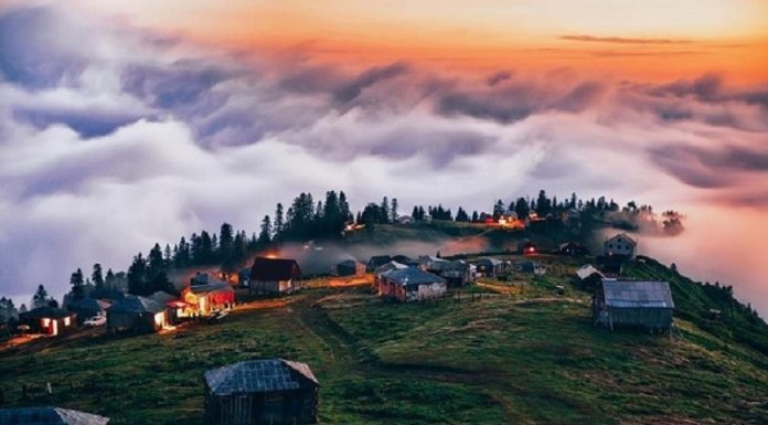 პროკურატურა: გომისმთაზე სახელმწიფოს კუთვნილი მიწების თაღლითურად მითვისების კიდევ სამი ფაქტი გამოვლინდა