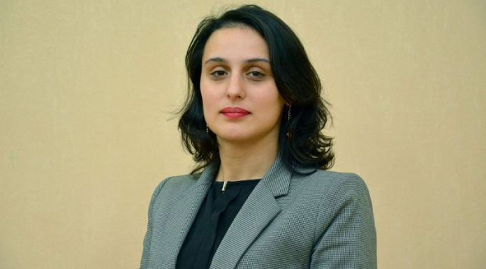 ქუთაისის მერის მეუღლე, შესაძლოა, საჯარო სკოლის დირექტორად დაინიშნოს