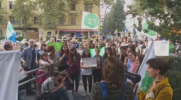 თბილისის მერიასთან “ახალგაზრდა მწვანეების” ორგანიზებით აქცია მიმდინარეობს