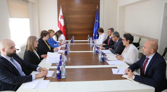მაია ცქიტიშვილმა და ევროსაბჭოს კონგრესის ხელმძღვანელებმა დეცენტრალიზაციის სტრატეგიით განსაზღვრული სიახლეები განიხილეს