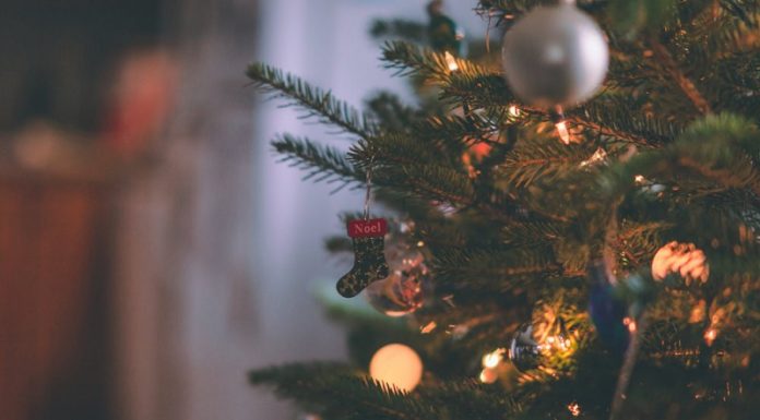 მარნეულის მერია 65 600-ლარიანი საახალწლო ნაძვის ხის შეძენას გეგმავს