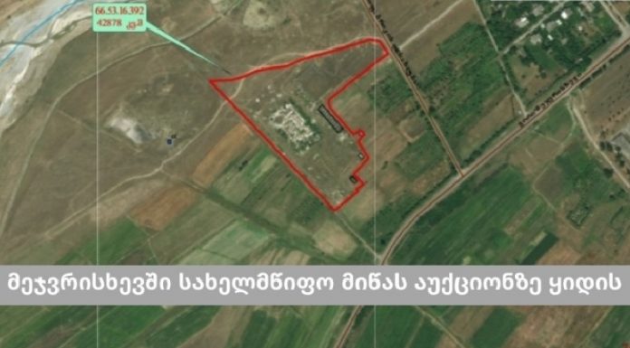 გორის სოფელ მეჯვრისხევში სახელმწიფო მიწას აუქციონზე ყიდის