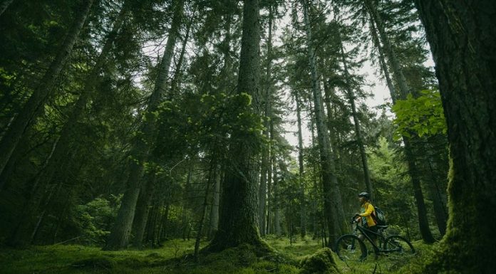 ადიგენში 4 137 ჰექტარი ბორჯომ-ხარაგაულის ეროვნულ პარკს შეუერთდა