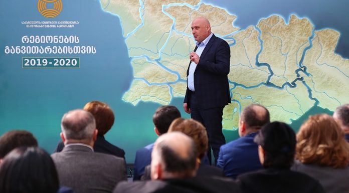 ბეგიაშვილი: 2022 წელს შიდა ქართლში 32 მილიონი ლარის 370 პროექტი დაფინანსდა