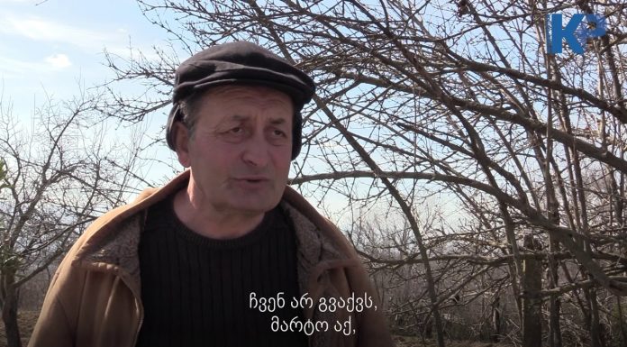 თერჯოლის სოფელ ტელეფას მოსახლეობა: წლებია წყალი არ გვაქვს