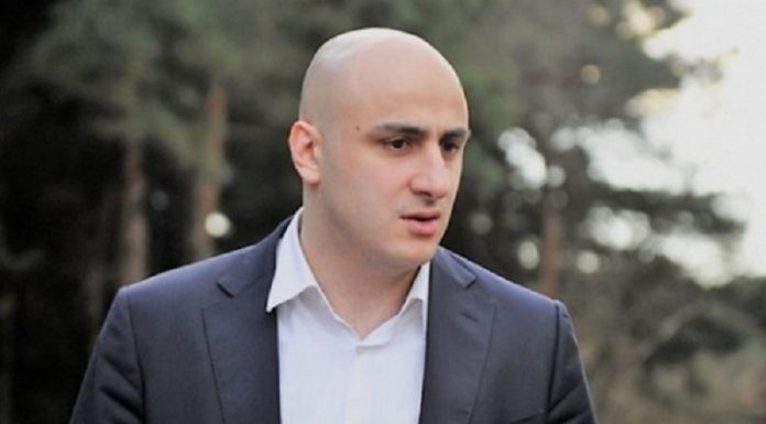 პარლამენტის კომიტეტებმა ნიკა მელიასთვის იმუნიტეტის შეჩერებას მხარი დაუჭირა