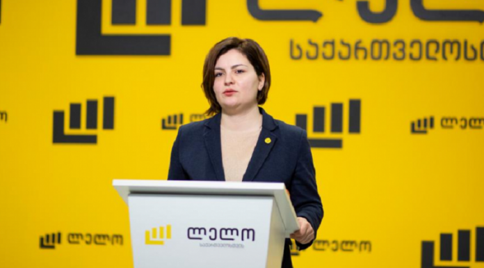 მოვუწოდებ ყველა ქალაქის მერს, ამოიღეთ ხმა, დადექით ამ კაცის გვერდით – ანა ნაცვლიშვილი წალენჯიხის მერის მანქანის დაწვაზე