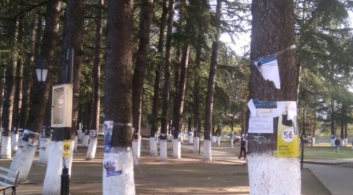 დაშინებული მოსახლეობა და დაზიანებული სააგიტაციო მასალა ლაგოდეხში