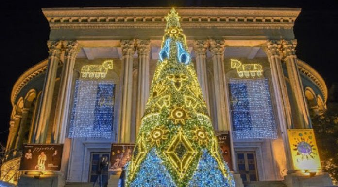 ქუთაისის მერია ახალ ნაძვის ხეს ყიდულობს