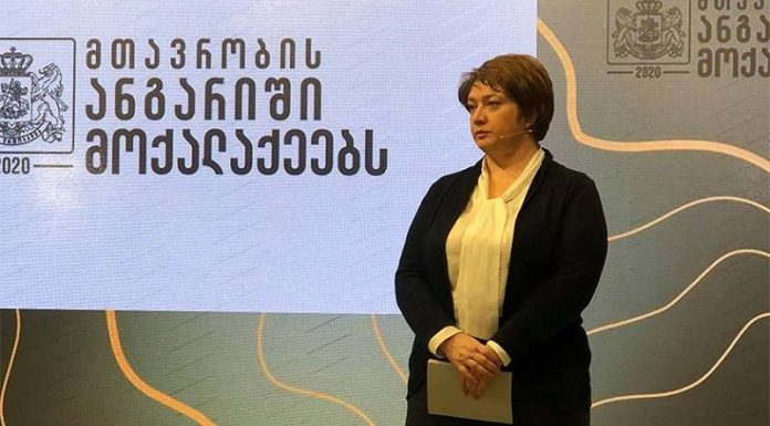 ცქიტიშვილი: ჩვენი ბიუჯეტის უმეტესი ნაწილი კვლავ საგზაო ინფრასტრუქტურას ხმარდება