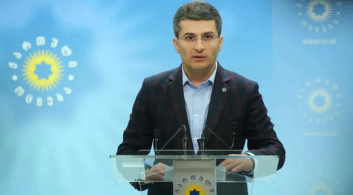 მდინარაძე დმანისის მოვლენებზე: თუ ის დადასტურდება, რომ მძიმე პროვოკაციას ადგილი ჰქონდა ფსიქიკური პრობლემების მქონეს მიმართ, „ნაცმოძრაობას“ ეს ძალიან მძიმედ დაუჯდება