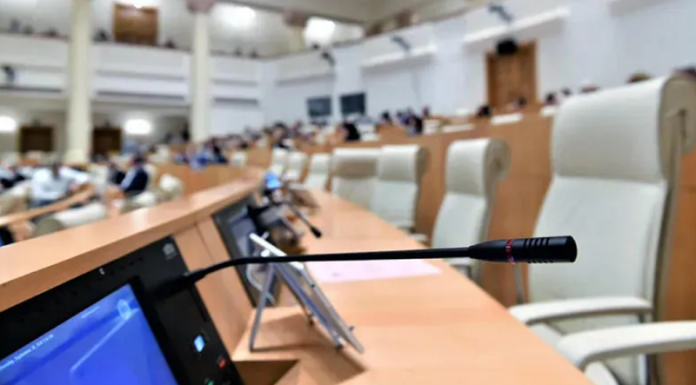პარლამენტმა კულტურის საპარლამენტო კომიტეტის შექმნის ინიციატივა განიხილა