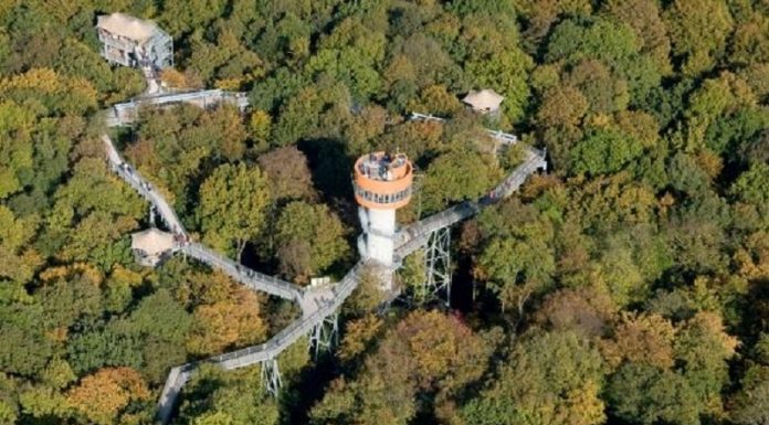 ლაგოდეხის დაცულ ტერიტორიაზე ხის კენწეროების ბილიკის მოწყობა 2023 წლის ბოლოს დასრულდება