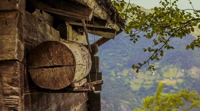 ჯარაში თაფლის წარმოების ტრადიციას არამატერიალური კულტურული მემკვიდრეობის ძეგლის სტატუსი მიენიჭა