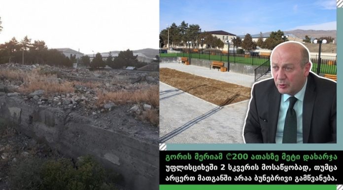 “ფლანგვის დეტექტორს” უფლისციხის სკვერის გამწვანებაზე გორის მერი პასუხობს