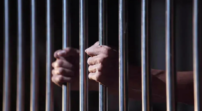 ვაკის პარკის ტრაგედიის საქმეზე დაკავებული ცხრავე პირი სასამართლომ პატიმრობაში დატოვა