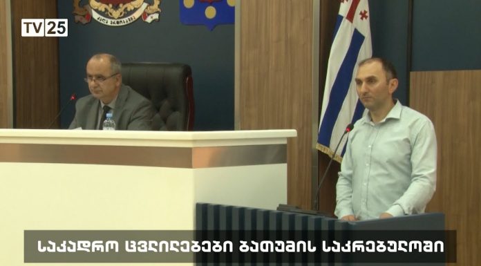 ბათუმის საკრებულოს ჯანდაცვის კომისიას ახალი თავმჯდომარე ჰყავს
