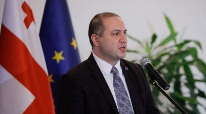 მიქანაძე: 88 ადგილობრივი სადამკვირვებლო ორგანიზაციიდან 15 აფილირებულია „ნაცმოძრაობასთან“, 3 „ევროპულ საქართველოსთან“, ხოლო 2 გახარიას პარტიასთან