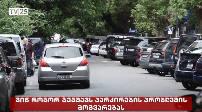 ვინ როგორ გეგმავს პარკირების პრობლემის მოგვარებას ბათუმში