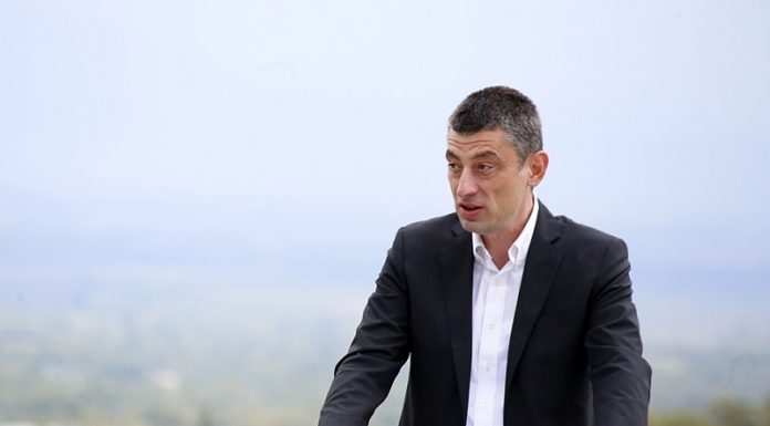 ვენის ლაბორატორიის დასკვნით, გიორგი გახარიას თმის ნიმუშის კვლევის შედეგად, არცერთი ნარკოტიკული ნივთიერების მოხმარება არ დადასტურდა