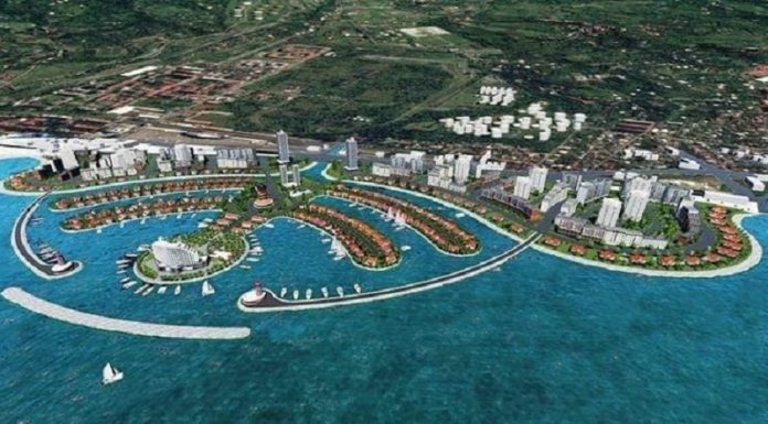 როგორი იქნება “პალმის მსგავსი ხელოვნური კუნძული”, რომელიც რიჟვაძემ დააანონსა — ფოტოები