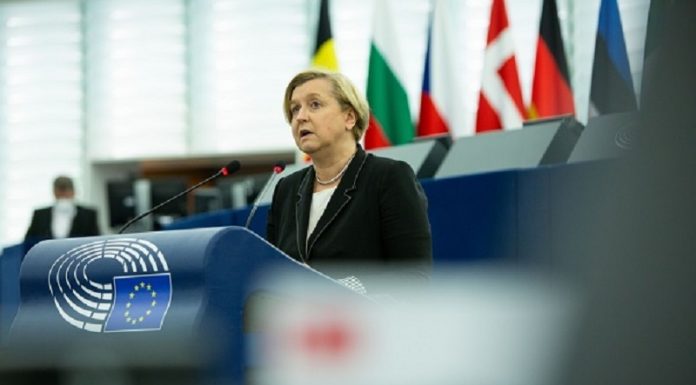 ანა ფოტიგა: საქართველოს ტერიტორიული მთლიანობის სასარგებლოდ შესწორებების ინიცირება გავაკეთე